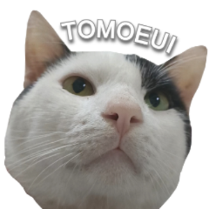 tomoeui avatar