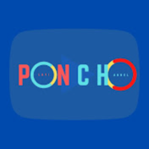poncho_nes avatar