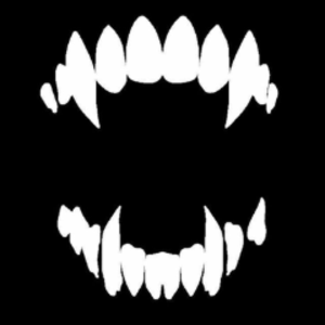 kudokushi10 avatar