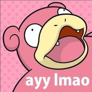 slowslowyadon avatar