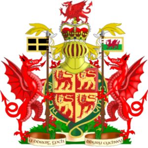 welsh__wizard avatar