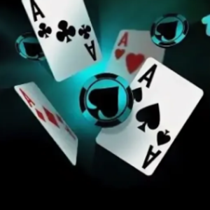 segufid96 avatar