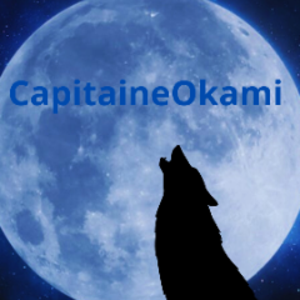 capitaineokami06 avatar