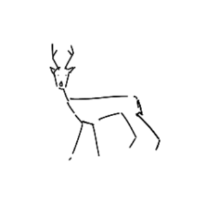 deersightings avatar