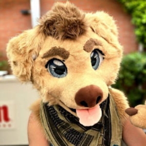 rexrebelheart avatar