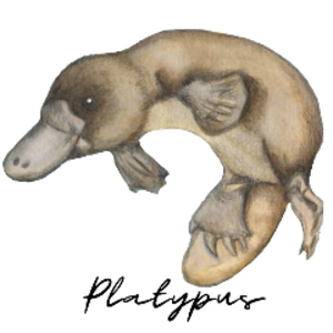 thederailedplatipus avatar