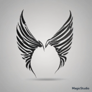 salvinvalkyries avatar