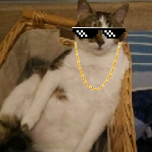 chargingdingle avatar