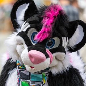 samylestinker avatar