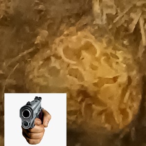 frogdudethatsangry avatar