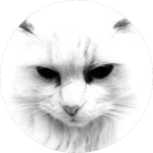 00moli avatar