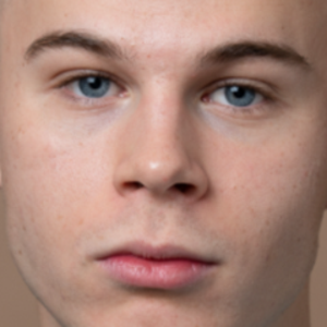 nardopig_ avatar