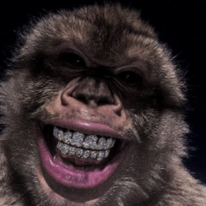 ninjadestroyertv avatar