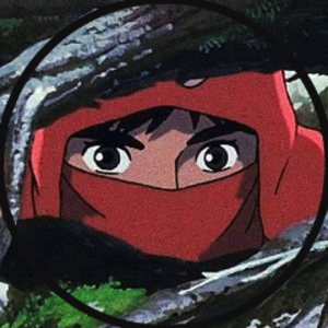 so1octrl avatar