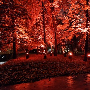 dreammyviolet avatar