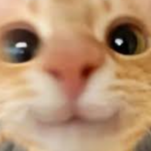 heckeryo avatar