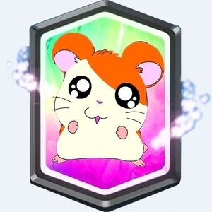 hamhamgang avatar