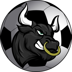 toretedrilian avatar