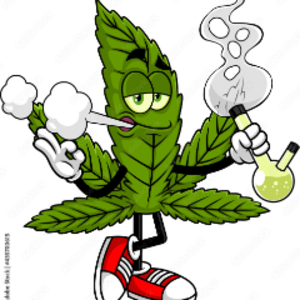 tripp420savage avatar