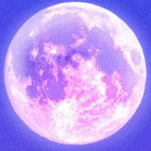 zeromainplayer avatar