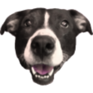 jamesfearless avatar