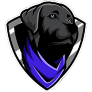 straydogtv avatar