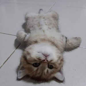 spacespacespace_ avatar