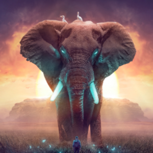 collectorsexports avatar