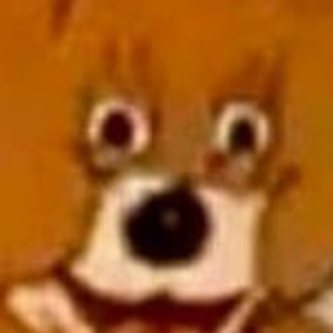 tmrtir avatar