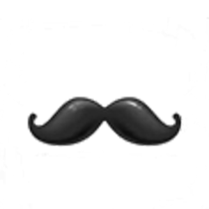 stashtastique avatar