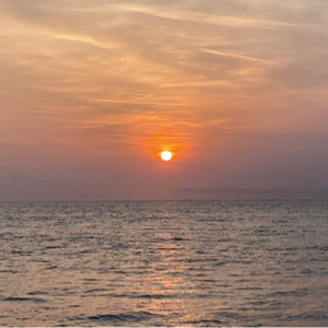 annyangelasmr avatar