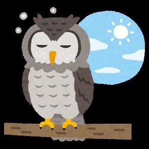 kaytee_goringo avatar