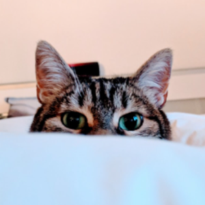 johnmclane666 avatar