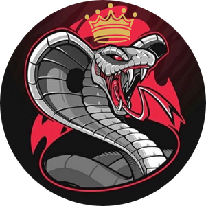king_cobra74 avatar
