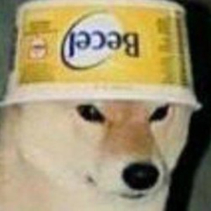 blooptev avatar