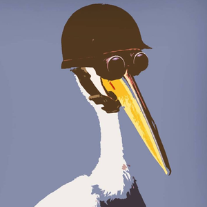 modestpelican avatar