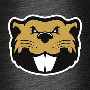 pedrokanicastro avatar