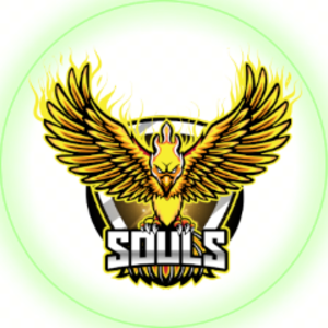 simsouls avatar