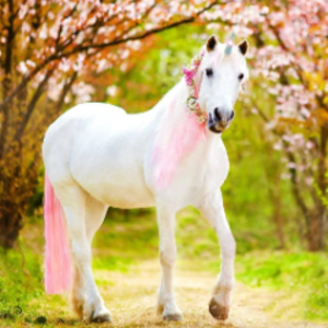 hikariifloofie avatar