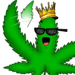 thereal_kingkush avatar