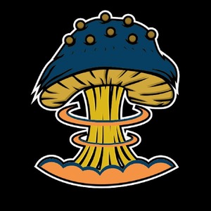 wirelessspore avatar