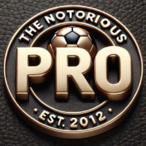 thenotoriouspr0 avatar