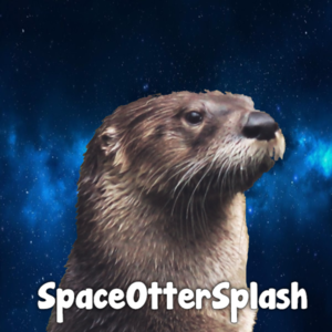 spaceottersplash avatar