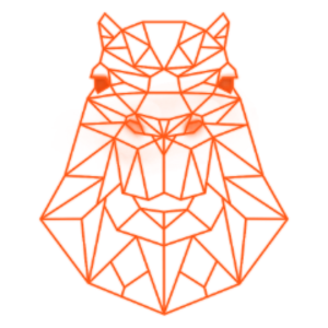 kibaracapybara avatar