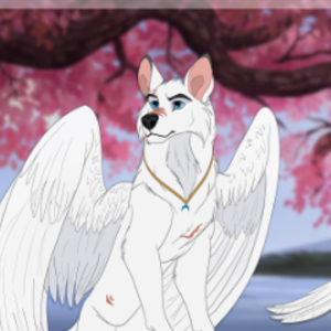 killer4thewolf avatar