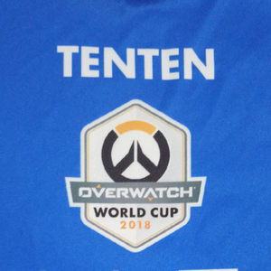 ow_tenten avatar