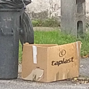 alwaystaplast avatar