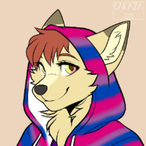 theadventurenetwork avatar