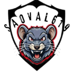 saoval619 avatar