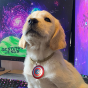 destinysjesus avatar